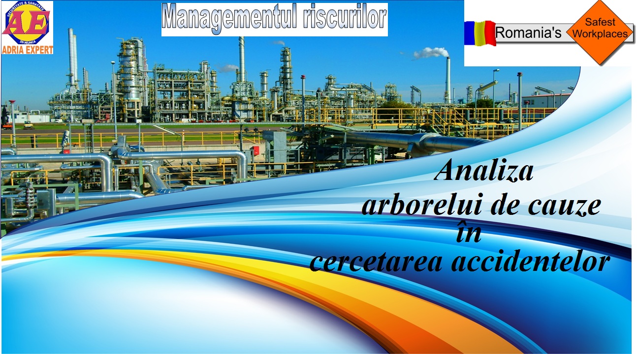 curs arbore de cauze adria expert